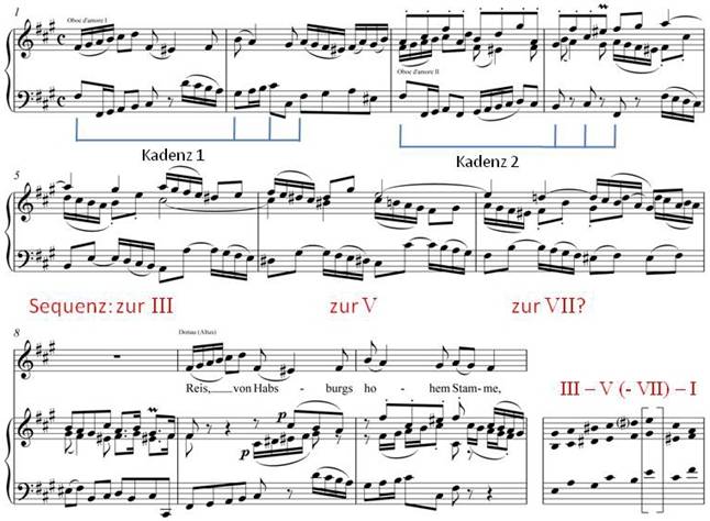 Reis von Habsburg Analyse